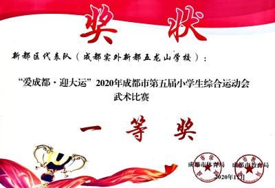 新都區代表隊 成都市武術一等獎